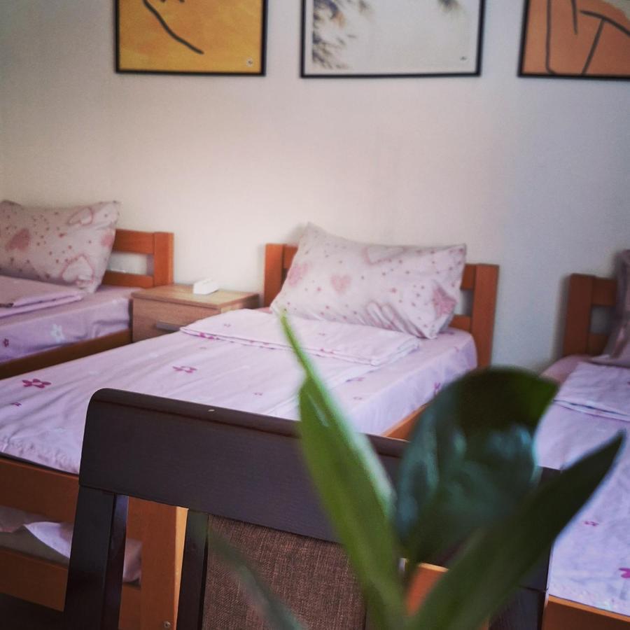 Apartman Zivkovic Leskovac  Exterior foto